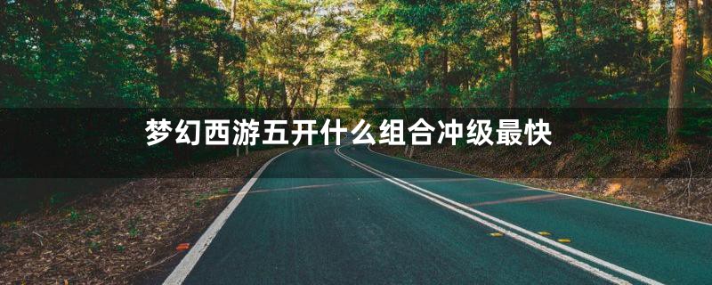 梦幻西游五开什么组合冲级最快