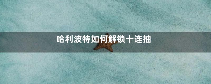 哈利波特如何解锁十连抽