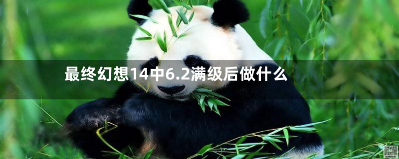 最终幻想14中6.2满级后做什么