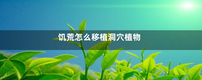 饥荒怎么移植洞穴植物