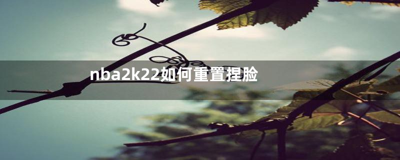 nba2k22如何重置捏脸