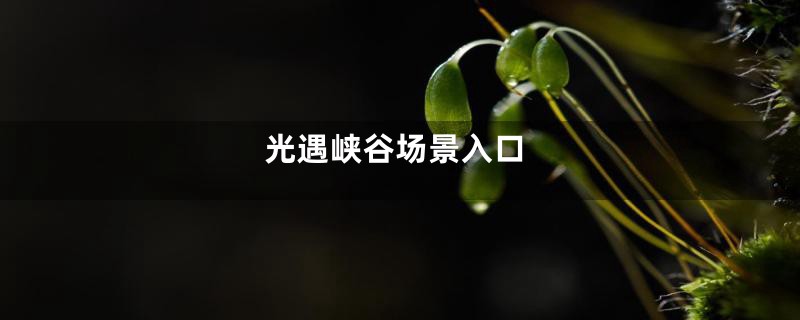 光遇峡谷场景入口