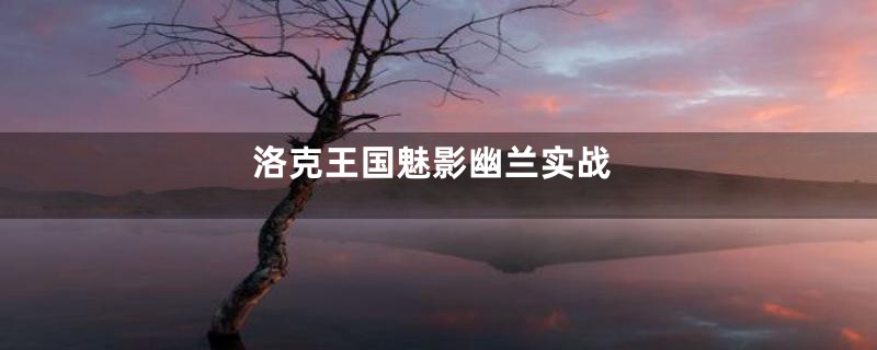 洛克王国魅影幽兰实战