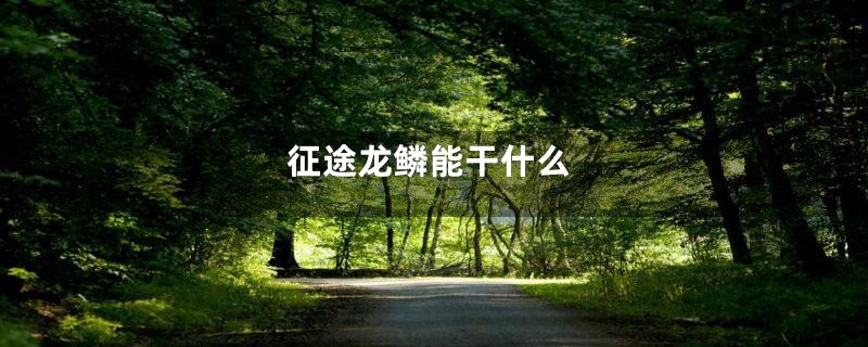 征途龙鳞能干什么