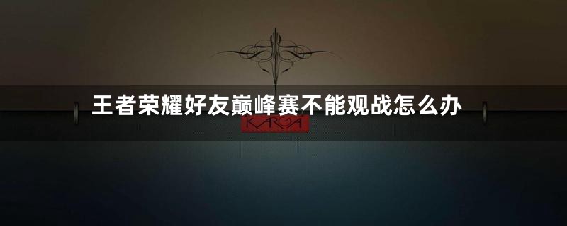 王者荣耀好友巅峰赛不能观战怎么办