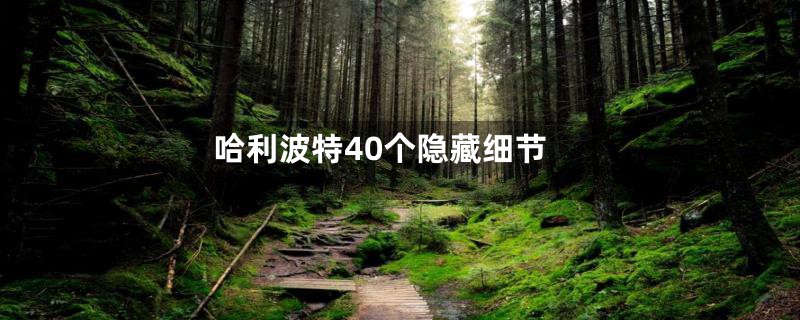 哈利波特40个隐藏细节