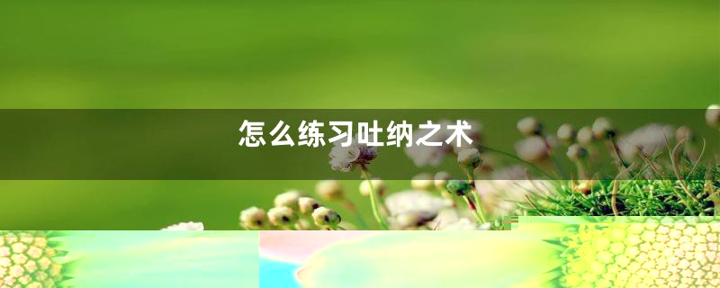 怎么练习吐纳之术