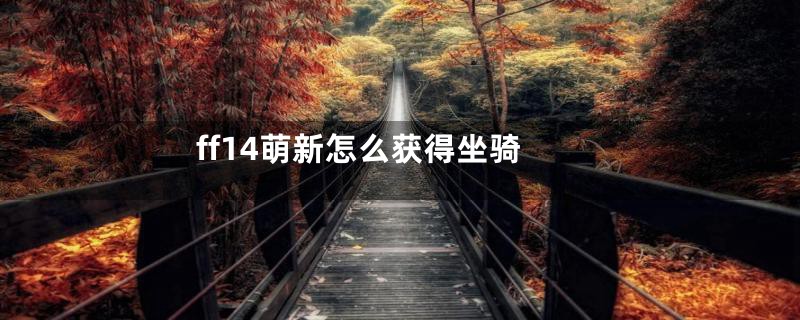 ff14萌新怎么获得坐骑
