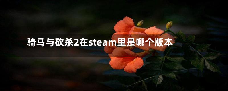 骑马与砍杀2在steam里是哪个版本