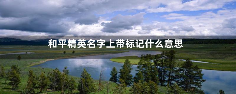 和平精英名字上带标记什么意思