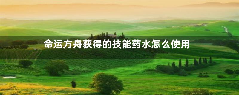 命运方舟获得的技能药水怎么使用