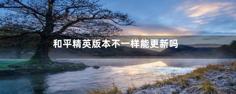 和平精英版本不一样能更新吗