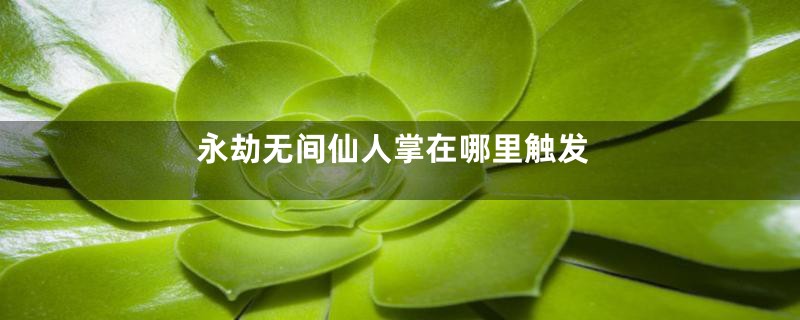 永劫无间仙人掌在哪里触发