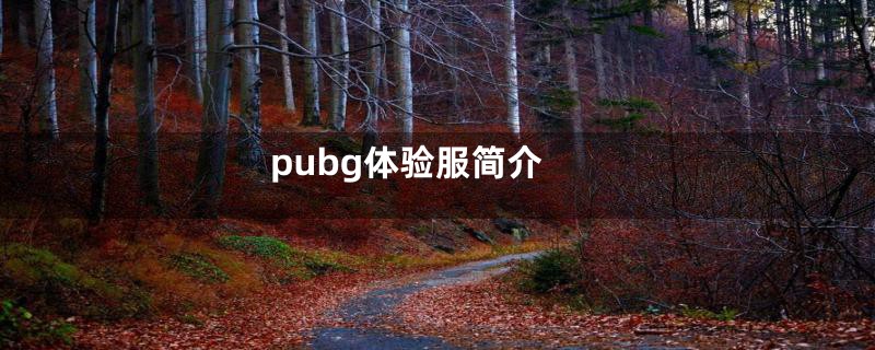 pubg体验服简介
