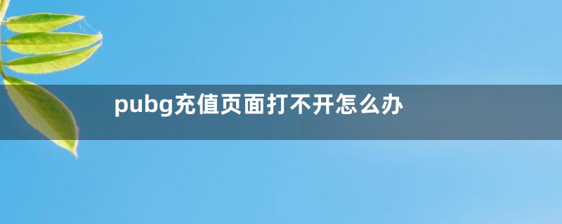 pubg充值页面打不开怎么办