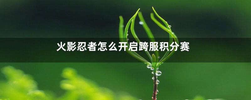 火影忍者怎么开启跨服积分赛