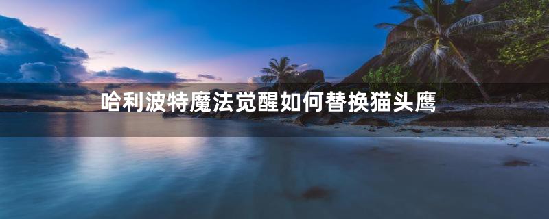 哈利波特魔法觉醒如何替换猫头鹰
