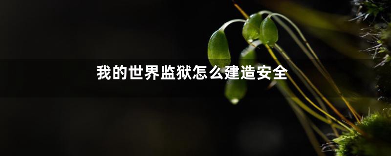 我的世界监狱怎么建造安全