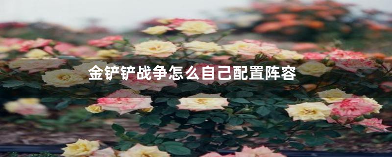 金铲铲战争怎么自己配置阵容