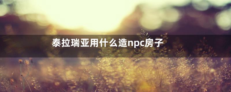 泰拉瑞亚用什么造npc房子