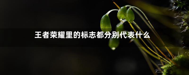王者荣耀里的标志都分别代表什么