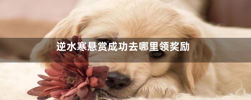 逆水寒悬赏成功去哪里领奖励