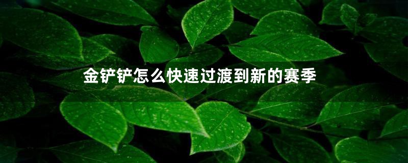 金铲铲怎么快速过渡到新的赛季