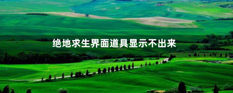 绝地求生界面道具显示不出来
