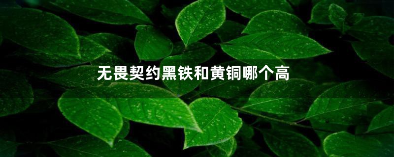 无畏契约黑铁和黄铜哪个高