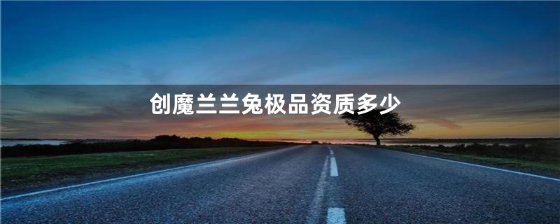 创魔兰兰兔极品资质多少