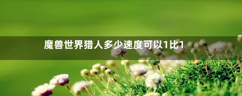 魔兽世界猎人多少速度可以1比1