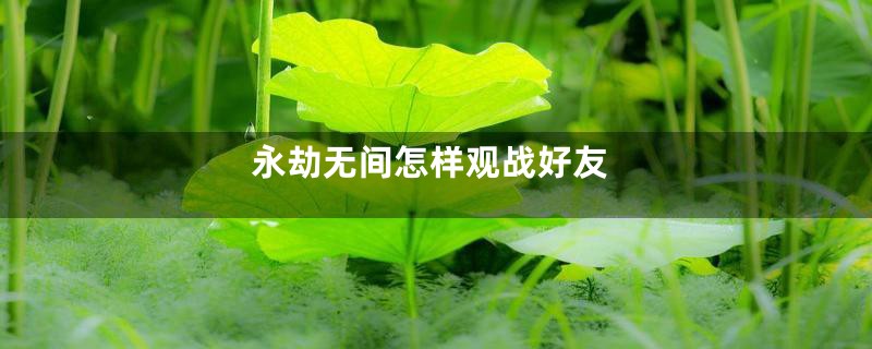 永劫无间怎样观战好友