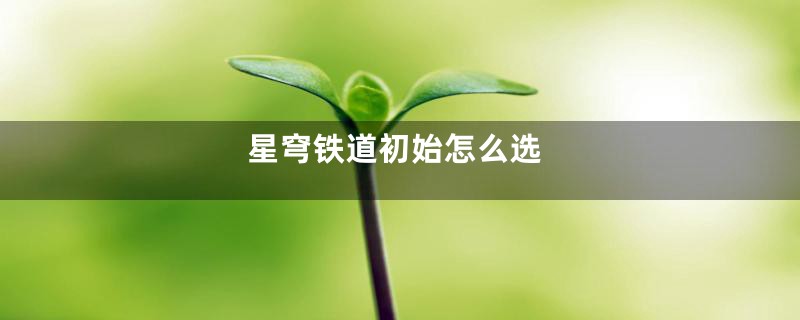 星穹铁道初始怎么选