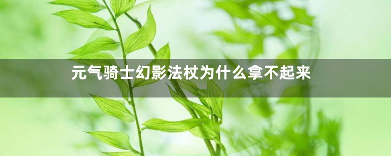 元气骑士幻影法杖为什么拿不起来