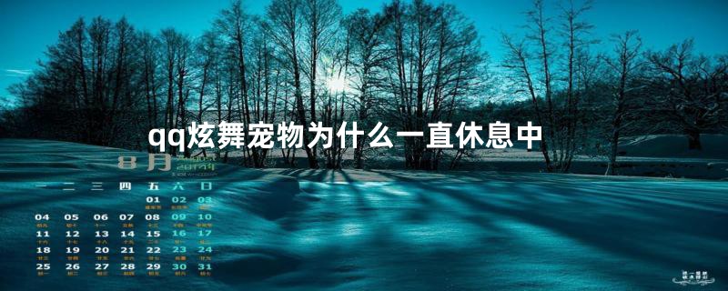 qq炫舞宠物为什么一直休息中