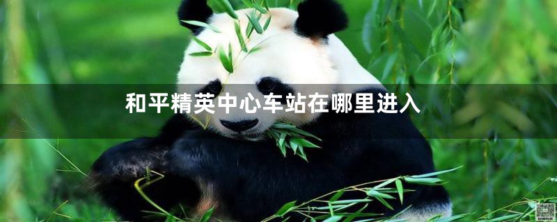 和平精英中心车站在哪里进入