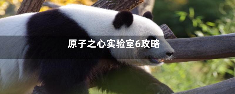 原子之心实验室6攻略