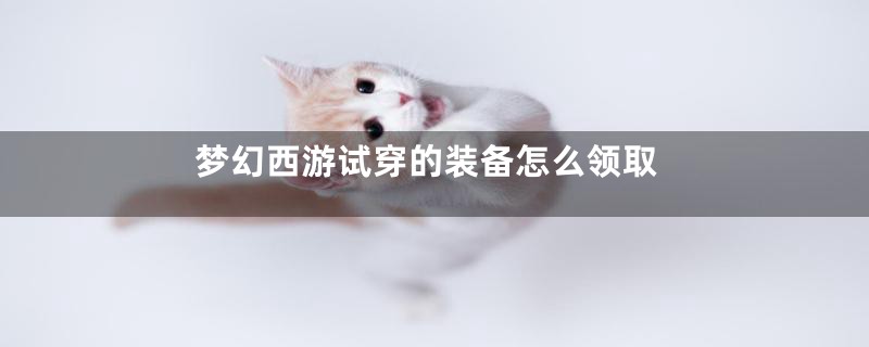 梦幻西游试穿的装备怎么领取