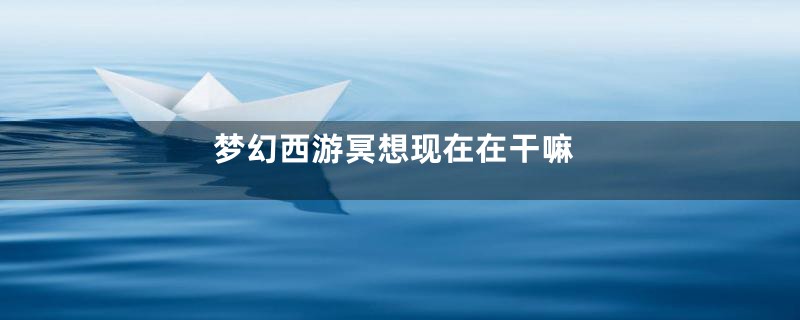 梦幻西游冥想现在在干嘛