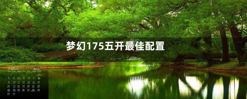 梦幻175五开最佳配置