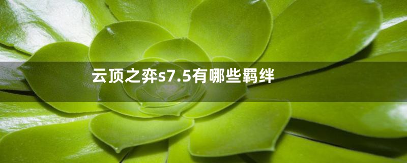 云顶之弈s7.5有哪些羁绊