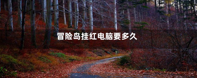 冒险岛挂红电脑要多久