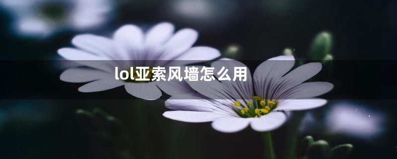 lol亚索风墙怎么用