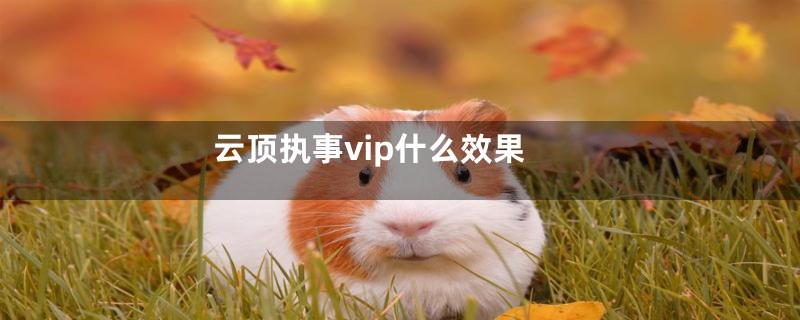 云顶执事vip什么效果