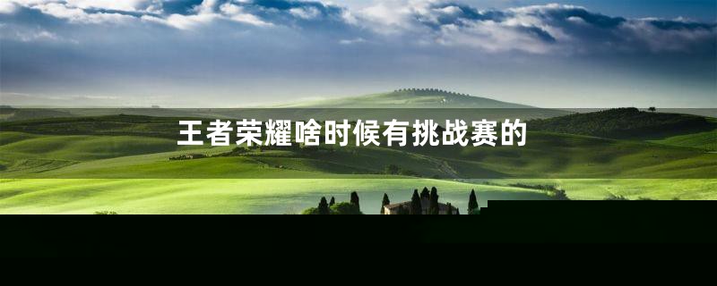 王者荣耀啥时候有挑战赛的