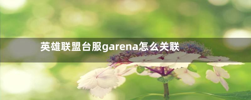 英雄联盟台服garena怎么关联