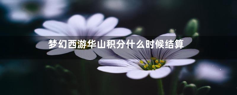 梦幻西游华山积分什么时候结算