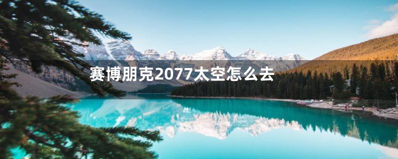赛博朋克2077太空怎么去