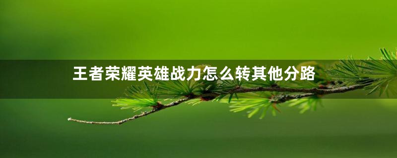 王者荣耀英雄战力怎么转其他分路