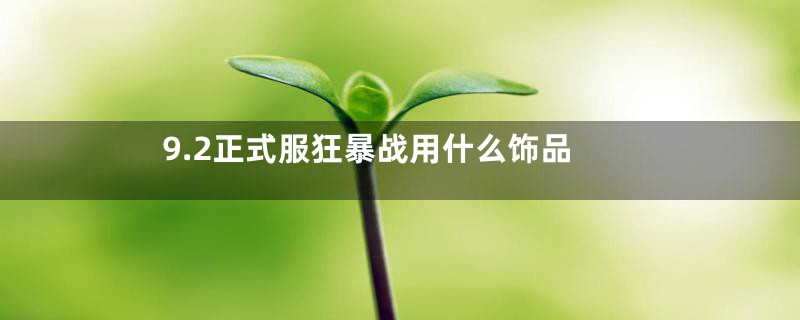 9.2正式服狂暴战用什么饰品